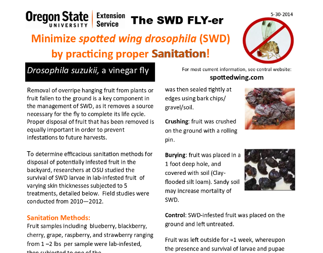 SWD Backyard Sanitation PDF