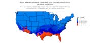 ALB_cohorts/ALB_StageCount_Excl1_20260514.png