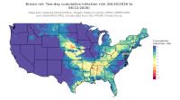 thumbs/BROT_Cum_Inf_Risk_2day_20260622.t.jpg