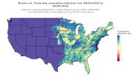 thumbs/BROT_Cum_Inf_Risk_3day_20260809.t.jpg