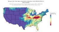 thumbs/BROT_Cum_Inf_Risk_4day_20260912.t.jpg