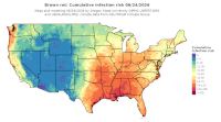thumbs/BROT_Cum_Inf_Risk_Total_20260624.t.jpg