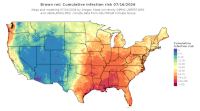 thumbs/BROT_Cum_Inf_Risk_Total_20260716.t.jpg