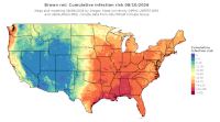 thumbs/BROT_Cum_Inf_Risk_Total_20260810.t.jpg