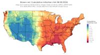 thumbs/BROT_Cum_Inf_Risk_Total_20260830.t.jpg