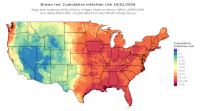thumbs/BROT_Cum_Inf_Risk_Total_20261001.t.jpg