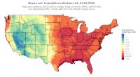 thumbs/BROT_Cum_Inf_Risk_Total_20261101.t.jpg