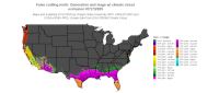 FCM_cohorts/FCM_StageCount_Excl1_20250717.png
