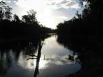 St Leonards - pond 