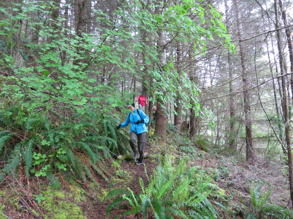 5_3_14_trail_navigation.JPG