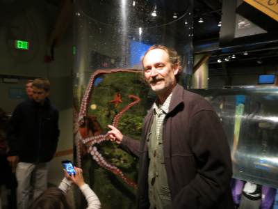seattle_aquarium1.JPG