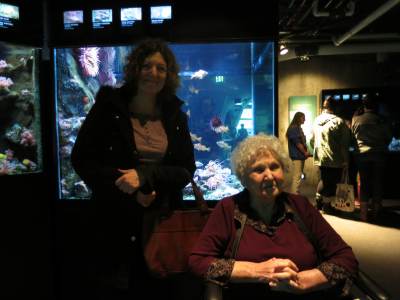 seattle_aquarium4.JPG