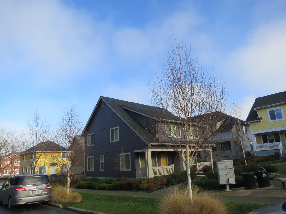 IMG_2394Purple_House_Lori_Connies_Neighborhood.jpeg