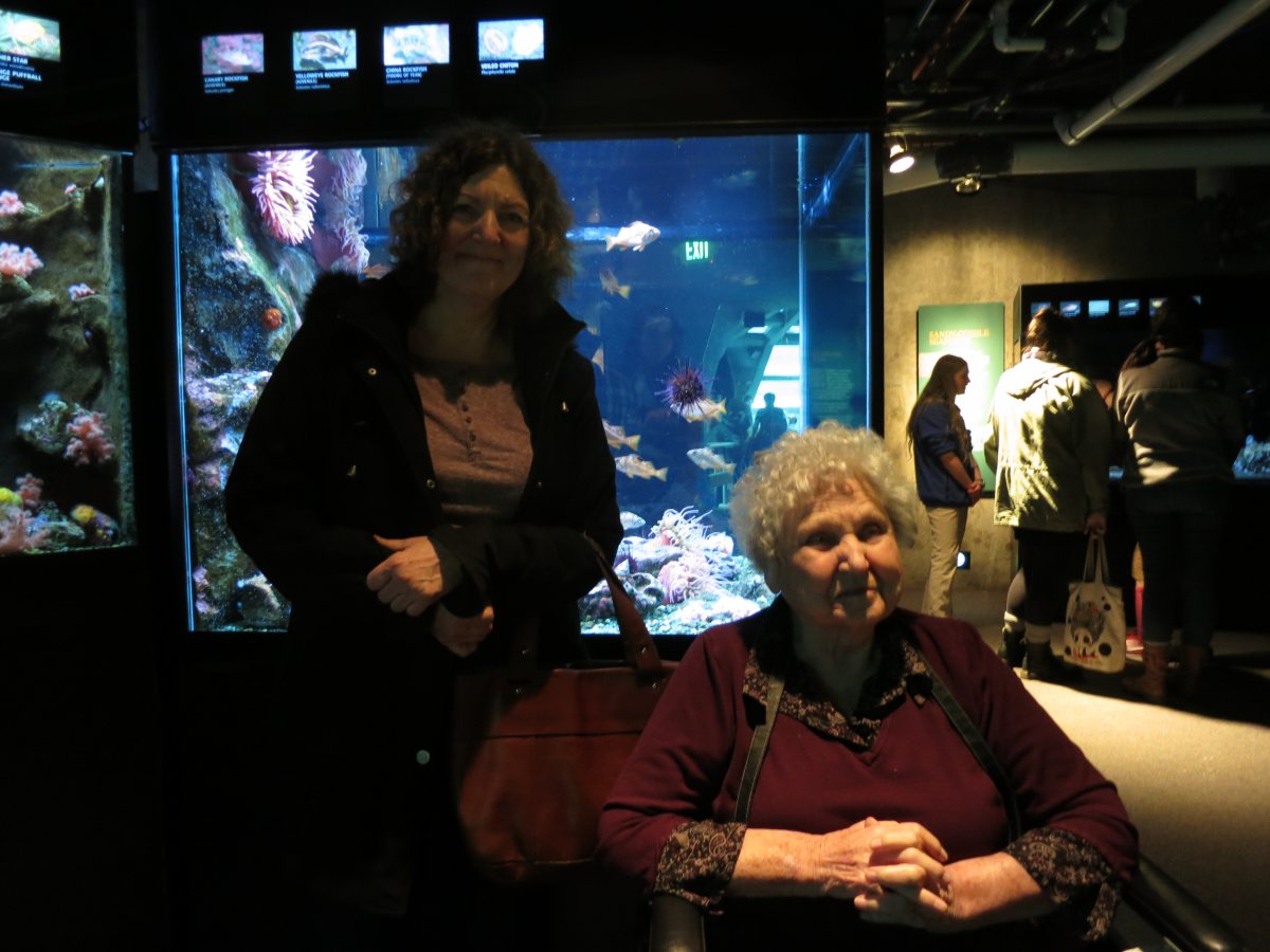 seattle_aquarium4.JPG