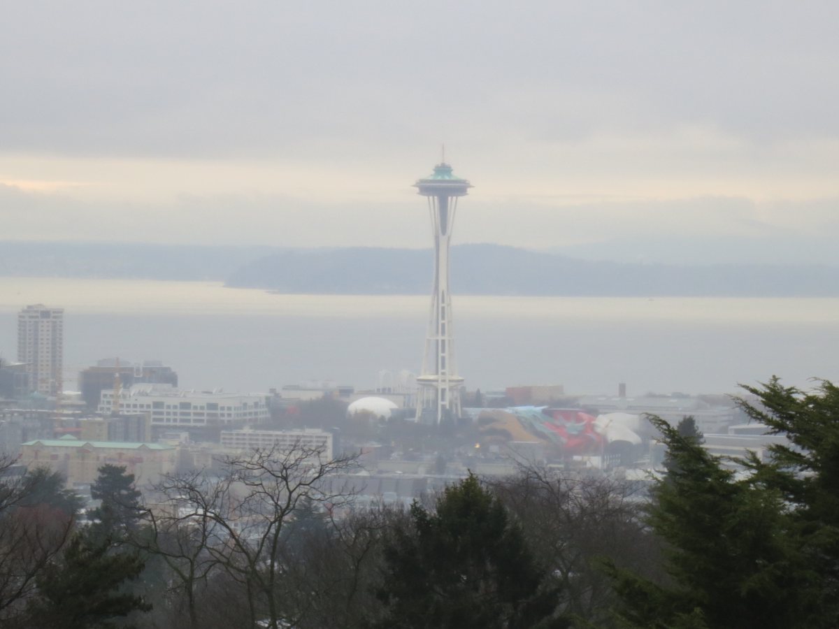 IMG_2375_Seattle_Space_Needle.jpeg