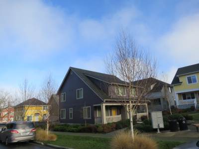 IMG_2394Purple_House_Lori_Connies_Neighborhood.jpeg