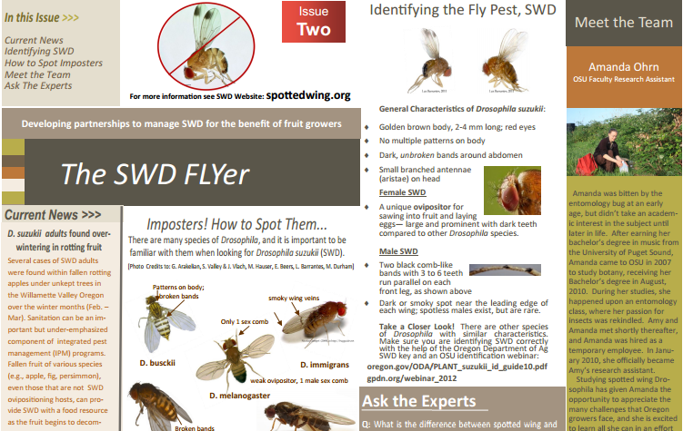 SWD FLYer 2. Identification PDF