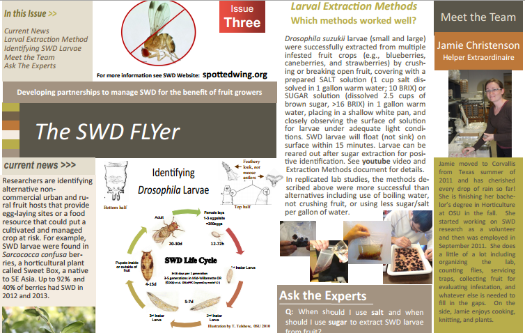 SWD FLYer 3. Larval Extraction PDF