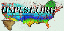 DD calculator linked to US map